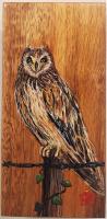 <b>*NEW*</b> Patiently Waiting 4x8 Oil on Mango by Deen Garcia <! local>