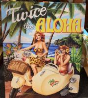Twice the Aloha Giclee by Garry Palm <! local>
