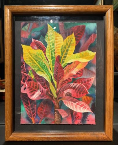 Crotons 12x9 Framed Watercolor by Garry Palm <! local>