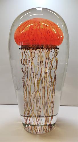 Pacific Coast Jellyfish #16319 by Richard Satava