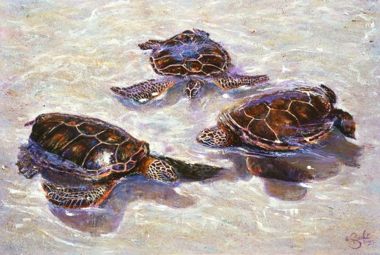3 Turtles Giclee by Karla Sachi <! local> <! aesthetic>