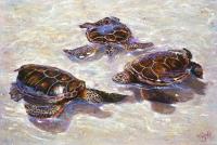 3 Turtles Giclee by SACHI