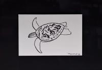 Sea Turtle 5.5x8.5 Framed Drawing by Robert Wyland