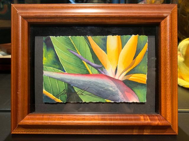 Bird Of Paradise 4x5 Framed Watercolor by Garry Palm <! local>