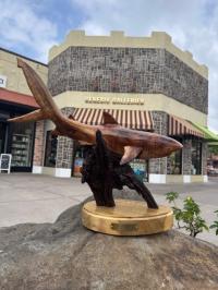 Koa Shark Sculpture by Craig Nichols <! local>