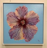 Candy Hibiscus 20x20 Framed Original Acrylic by MsW <! local>