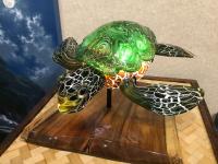 Illuminating Turtle by Schaffer & Brown