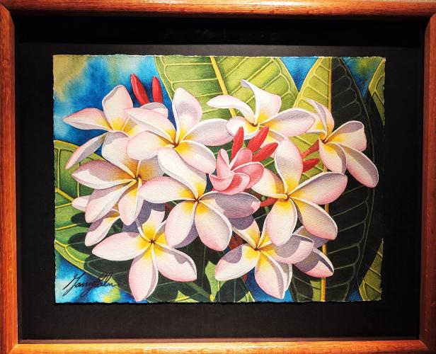 White Pink Plumerias 16x12 Framed Watercolor by Garry Palm