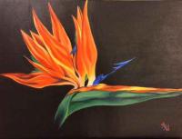 Bird of My Paradise 22x28 Original Acrylic by MsW by <b>*NEW*</b> <a></a>Valentine's Day Gift Ideas