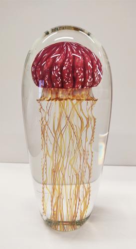 <b>*NEW*</b> Gold Ruby Jellyfish #13922 by Richard Satava