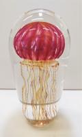 Gold Ruby Jellyfish #13317 by Richard Satava