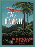 Fly Hawaii 11x14 Woodprint on Birch by Jeremy Neill <! local>