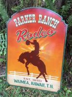 Parker Ranch Rodeo [New Design] by Steve Neill <br><b>[Custom Orders Not Currently Being Accepted]</b> <! local>