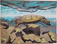 <b>*NEW*</b> Honu Green Sea Turtle #2 12x16 Mixed Media by <b>*NEW ARTIST*</b> <br>Shawn <b></b>Waco