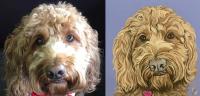 MsW Custom Pet Portraits by MsW <! local>