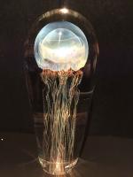 Lg Moon Jellyfish #171816 by Richard Satava