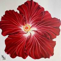 Hibiscus Love 10x10 Framed Acrylic by MsW <! local>