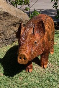 Pua'a Pig Solid Island Inia Wood Sculpture by Craig Nichols <! local>