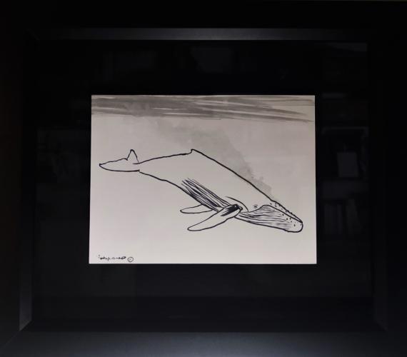 Humpback 9x12 Framed Drawing by Robert Wyland