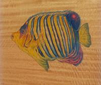 Reef Fish #7C 11.5x13.5 Oil/Pyro on Mango by David 'Kawika' Gallegos <! local>