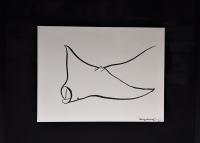 <b>*NEW*</b> Manta Descending 9x12 Framed Drawing by Robert Wyland