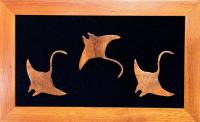 Triple Manta Koa Wall Decor by Alan Sharp <! local>