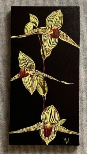 Ladyslipper Orchid Original by MsW