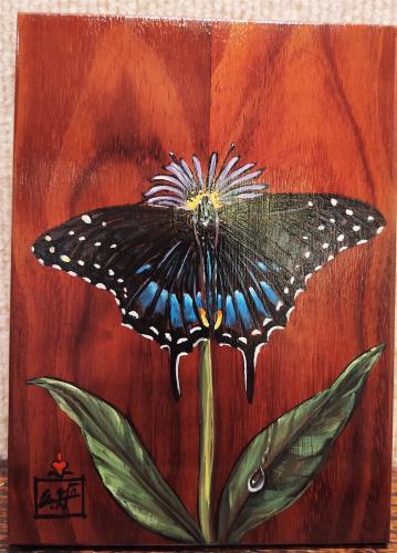 DAG2874 Black Swallowtail Butterfly 5x7 Original on Koa HC/ND by Deen Garcia