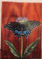 DAG2874 Black Swallowtail Butterfly 5x7 Original on Koa HC/ND by Deen Garcia <! local>
