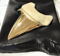 Bronze Shark Tooth Sculpture by Andrew Vallee